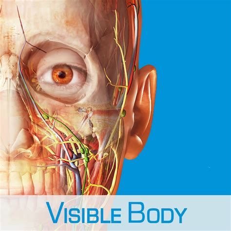 身體結構圖女|Visible Body Human Anatomy Atlas (人體解剖圖譜) 2021